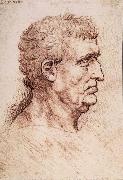 LEONARDO da Vinci Profile of a man France oil painting artist